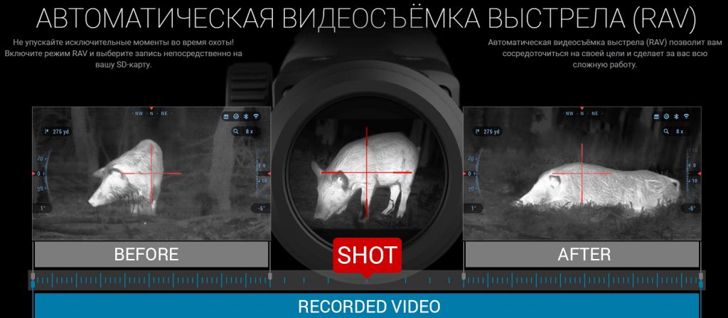 MSK4K3819_9