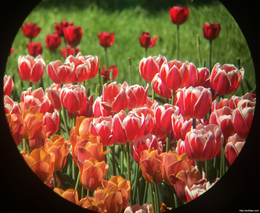 SkyHawk_10x32_23370 (20)