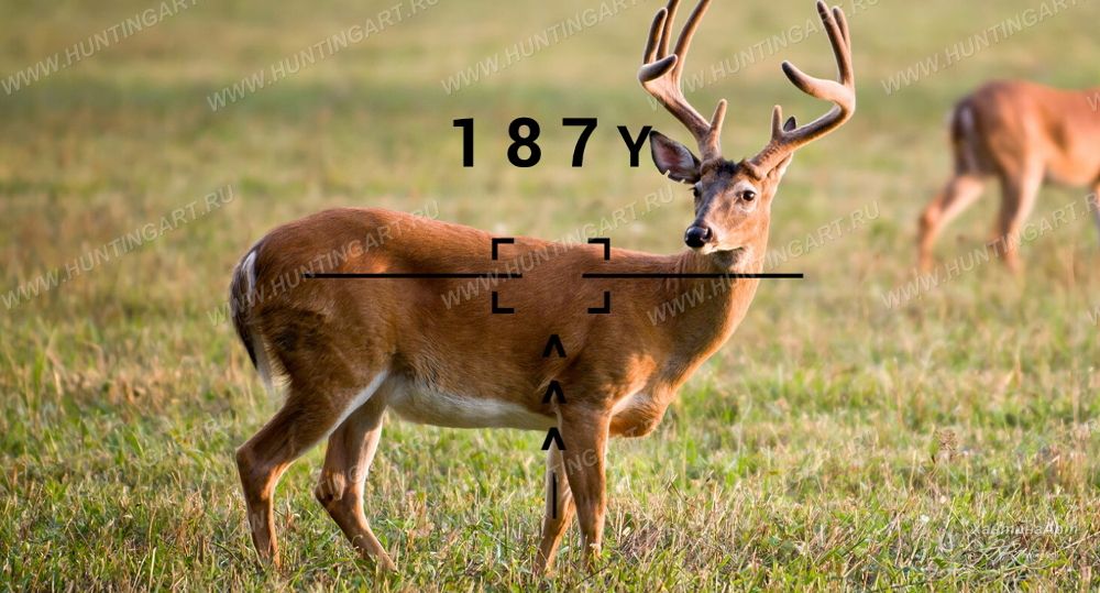 ATN LASERBALLISTICS 1000_6