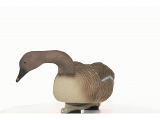 гуменник корм плав