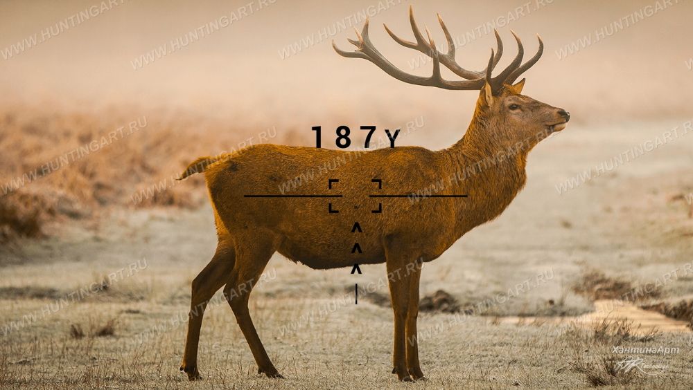 ATN LASERBALLISTICS 1000_2