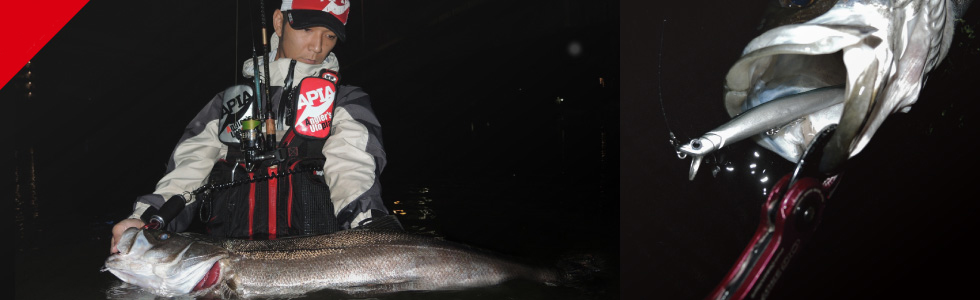 Apia H-bait_3