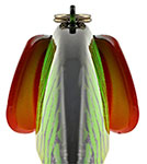 Matzuo IKARI SHAD_4