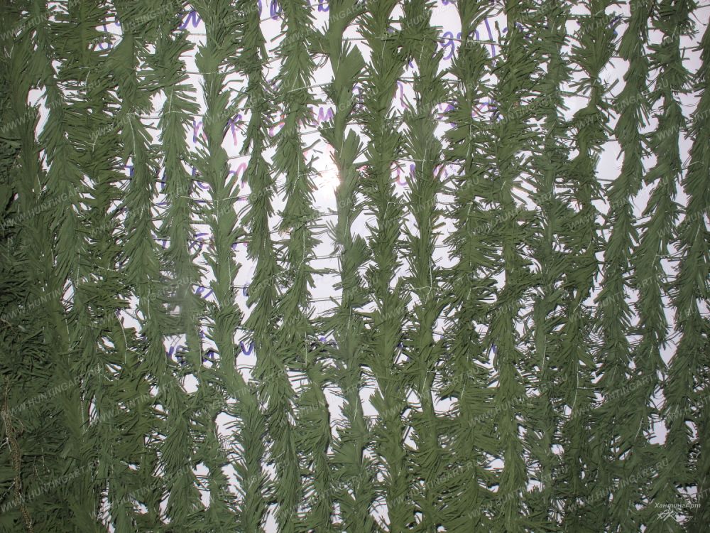 paporotnik-xvoy-grin_1