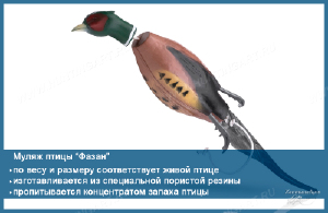 Муляж птицы для натаски, ФАЗАН купить в интернет-магазине Хантингарт