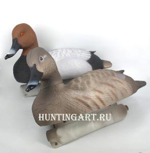 Комплект чучел 62 Breite - Нырок красноголовый (1 селезень, 1 утка) купить в интернет-магазине ХантингАрт
