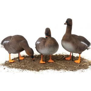 Картинка Комплект из 6 чучел гуся гуменника North Way Softplast Альфа (3 кормящихся,1 сторож,2 отдыхающих) от интернет-магазина ХантингАрт Комплект из 6 чучел гуся гуменника North Way Softplast Альфа (3 кормящихся,1 сторож,2 отдыхающих) купить в интернет-магазине ХантингАрт