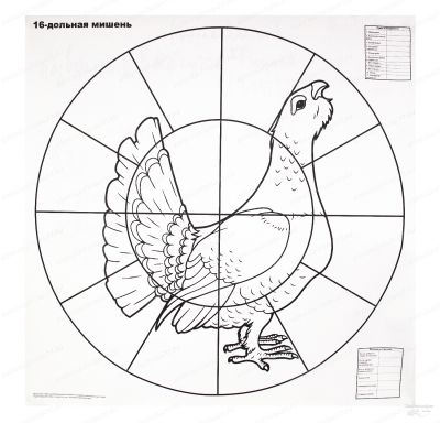 Мишень для пристрелки дробовых ружей 16-дольная купить в интернет-магазине Хантингарт