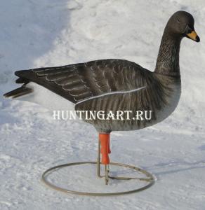 Картинка Чучела 62 Breite гуся Гуменника, комплект из 6 шт (1-сторожевой, 1-отдыхающий, 4-кормящихся) от интернет-магазина ХантингАрт Чучела 62 Breite гуся Гуменника, комплект из 6 шт (1-сторожевой, 1-отдыхающий, 4-кормящихся) купить в интернет-магазине ХантингАрт