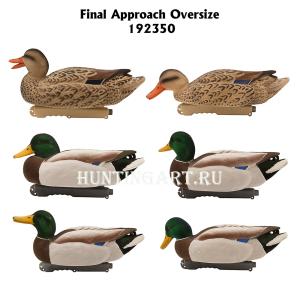 Комплект чучел Кряква FA Oversize флокированные, 6 шт (2 утки и 4 селезня) купить в интернет-магазине ХантингАрт