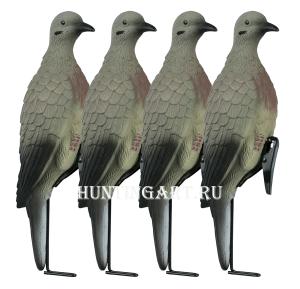 Чучела голубей (горлица) купить в интернет-магазине ХантингАрт