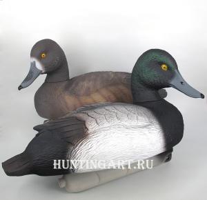 Комплект чучел 62 Breite - Чернеть морская: 1шт (селезень), 1шт (утка) купить в интернет-магазине ХантингАрт