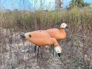 Огарь утка Elite 3D Ruddy Duck, комплект 10 шт (8+2) мягкий пластик купить в интернет-магазине ХантингАрт