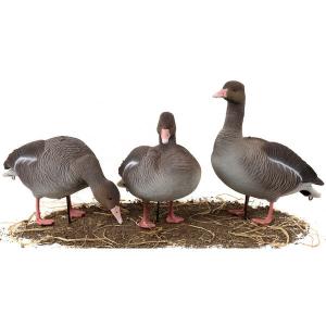 Чучела Серого гуся North Way Softplast Альфа, 6 штук (3 кормящихся,1 сторож,2 отдыхающих) купить в интернет-магазине ХантингАрт