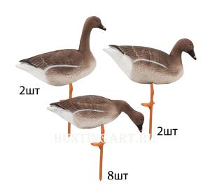 Комплект из 12 шт складного чучела гуся Гуменника на опоре-стойке Birdland  купить в интернет-магазине ХантингАрт