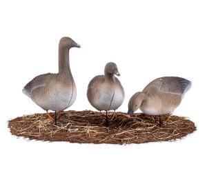 Картинка Полнокорпусные сминаемые чучела Гуменника 10 шт North Way Живое перо S-XPE 3D (6 кормящихся+2 сторожевых+2 спящих) от интернет-магазина ХантингАрт Полнокорпусные сминаемые чучела Гуменника 10 шт North Way Живое перо S-XPE 3D (6 кормящихся+2 сторожевых+2 спящих) купить в интернет-магазине ХантингАрт