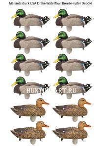 Комплект из 12 чучел Кряквы Hard Core (8 селезней/4 утки) купить в интернет-магазине ХантингАрт