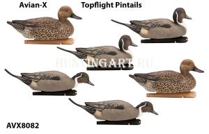 Комплект Avian-X Topflight Pintails из 6 шт (4 селезня/2 утки) чучел Шилохвости купить в интернет-магазине ХантингАрт