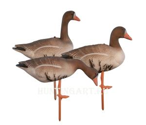 Комплект Birdland из 12 шт складных Белолобых чучел на опоре-стойке купить в интернет-магазине ХантингАрт