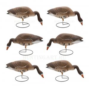 Чучела белолобого гуся Flambeau Stormfront™ (кормящиеся) комплект из 6 шт - купить в Москве