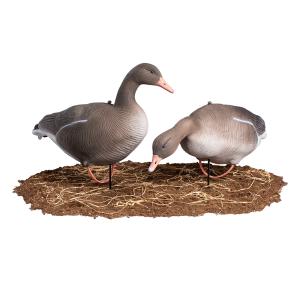 Комплект из 10 чучел Серого гуся серии Softplast North Way (2 активных / 8 кормящихся) купить в интернет-магазине ХантингАрт