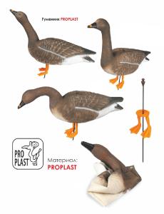 Картинка Чучела гуся Гуменника  Proplast комплект 6 штук (4 кормящихся, 1 сторожевой, 1 зовущий) от интернет-магазина ХантингАрт Чучела гуся Гуменника  Proplast комплект 6 штук (4 кормящихся, 1 сторожевой, 1 зовущий) купить в интернет-магазине ХантингАрт