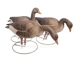 Чучела 62 Breite Серый гусь, комплект из 6 шт (1-сторожевой, 1-отдыхающий, 4-кормящихся) купить в интернет-магазине ХантингАрт