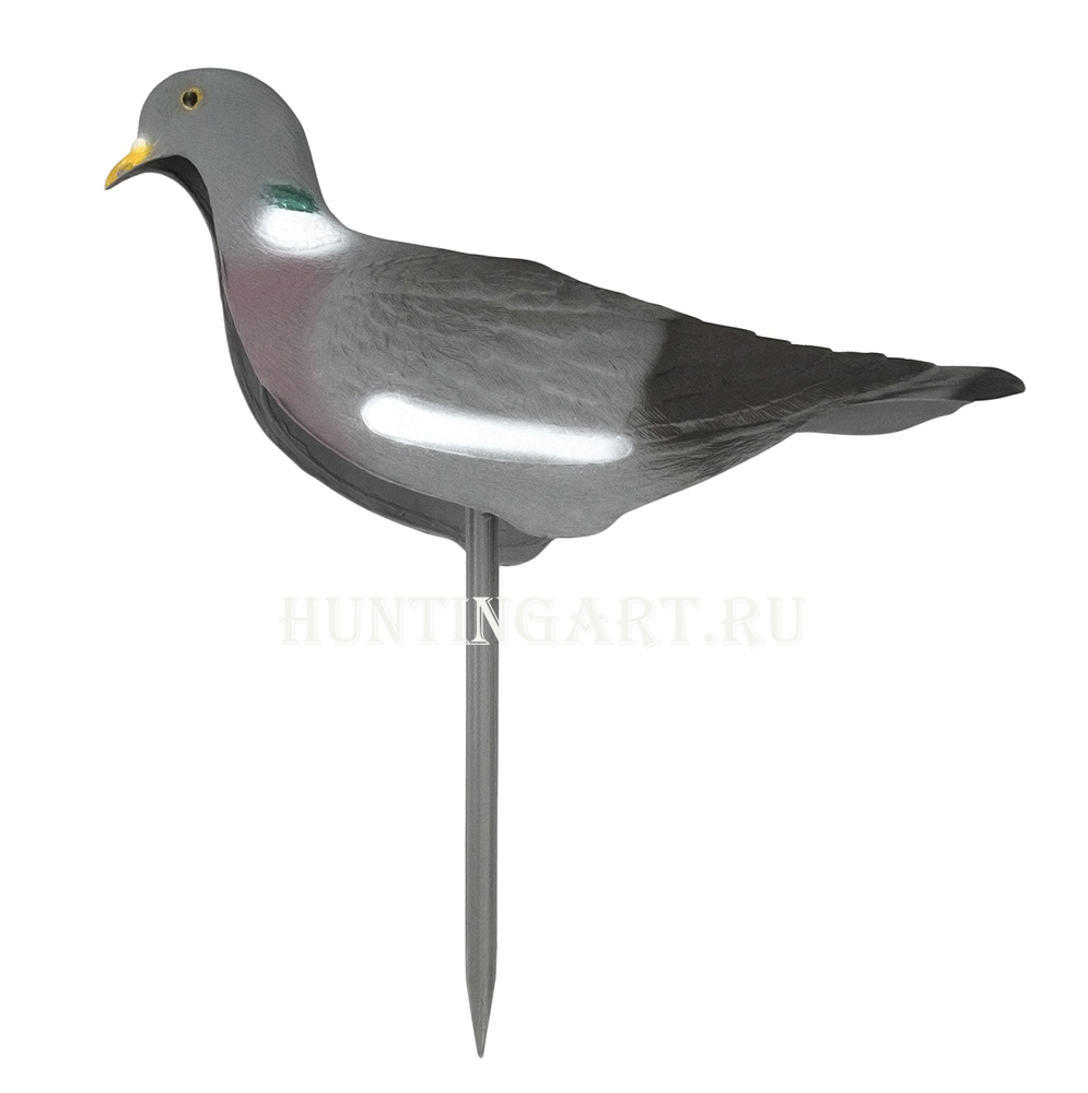 Полукорпусные чучела скорлупки лесного голубя купить в интернет-магазине ХантингАрт