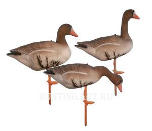 Картинка Комплект Birdland из 6 шт складных Белолобых чучел на опоре-стойке от интернет-магазина ХантингАрт Комплект Birdland из 6 шт складных Белолобых чучел на опоре-стойке купить в интернет-магазине ХантингАрт