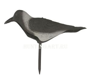 Чучело вороны (скорлупка) купить в интернет-магазине ХантингАрт