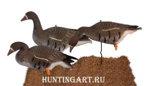 Комплект Sport Plast из 12 шт складных Белолобых гусей купить в интернет-магазине ХантингАрт
