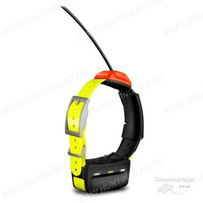 Дополнительный ошейник Garmin T5 Collar для Astro 320, Alpha 50 и Alpha 100 купить в интернет-магазине Хантингарт