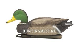 Чучело кряквы плавающей, селезень, Birdland купить в интернет-магазине ХантингАрт
