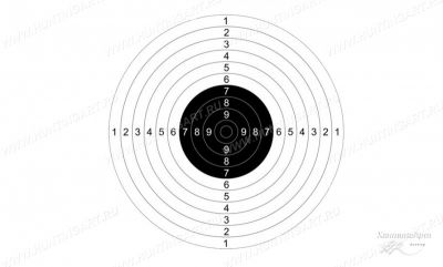 Мишень №9 для пневматических пистолетов, дистанция 10 метров купить в интернет-магазине Хантингарт