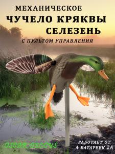 Механическое чучело селезня с пультом управления купить в интернет-магазине ХантингАрт