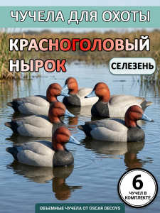 Чучело красноголовый нырок (селезень), комплект 6шт купить в интернет-магазине ХантингАрт