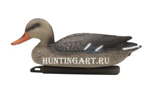 Чучело кряквы плавающей (утка) Birdland купить в интернет-магазине ХантингАрт