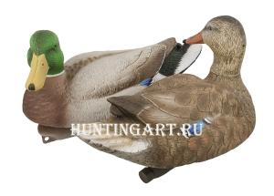 Комплект чучел 62 Breite - Кряква: 1 шт (селезень), 1 шт (утка) - комплект 2 шт купить в интернет-магазине ХантингАрт