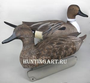 Комплект чучел - Шилохвость: 1шт (селезень), 1шт (утка) - комплект 2шт купить в интернет-магазине ХантингАрт