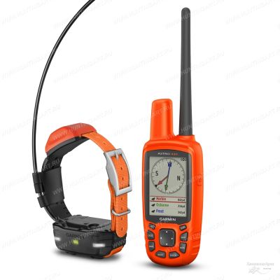 Система отслеживания перемещений собаки Garmin Alpha 50 c ошейником Alpha T5 купить в интернет-магазине Хантингарт