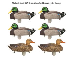 Комплект из 6 чучел Кряквы Hard Core (4 селезня,2 утки) купить в интернет-магазине ХантингАрт
