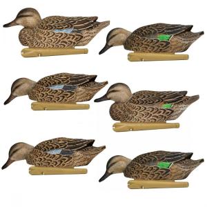 Комплект Avian-X из 6 полноразмерных чучел чирков - Early Season Topflight Teal (ранний сезон) купить в интернет-магазине ХантингАрт