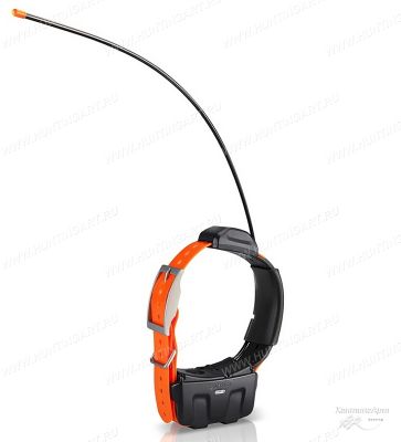 Ошейник Garmin DC-50 для собак (европейская версия) купить в интернет-магазине Хантингарт
