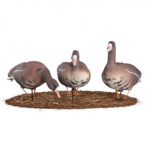 Картинка Комплект сминаемых чучел Белолобого Гуся North Way Softplast "A" (3-кормящихся, 2-отдыхающих, 1-сторожевой) от интернет-магазина ХантингАрт Комплект сминаемых чучел Белолобого Гуся North Way Softplast "A" (3-кормящихся, 2-отдыхающих, 1-сторожевой) купить в интернет-магазине ХантингАрт