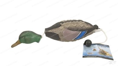 Апортировочный муляж Кряквы EZ Bird Mallard для тренировки собак купить в интернет-магазине Хантингарт