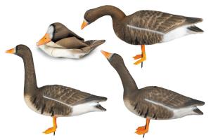 Чучела Белолобого гуся Proplast, комплект 10 штук (8 кормящихся, 1 сторожевой, 1 зовущий) купить в интернет-магазине ХантингАрт