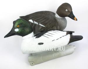 Комплект 62 Breite чучела Гоголя (пара - селезень/утка) купить в интернет-магазине ХантингАрт