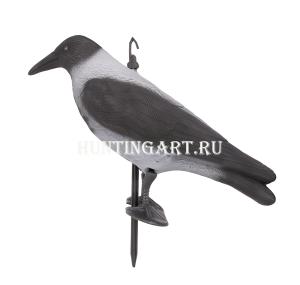 Чучело вороны купить в интернет-магазине ХантингАрт