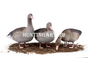 Комплект 10 шт (6 кормящихся, 2 сторожевых, 2 отдыхающих) сминаемых чучел Серого гуся 3D S-XPE North Way купить в интернет-магазине ХантингАрт