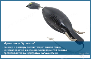 Муляж птицы для натаски, КУРОПАТКА купить в интернет-магазине Хантингарт